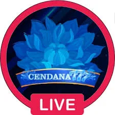 CENDANA777 - Pengalaman Live Casino yang Menengangkan